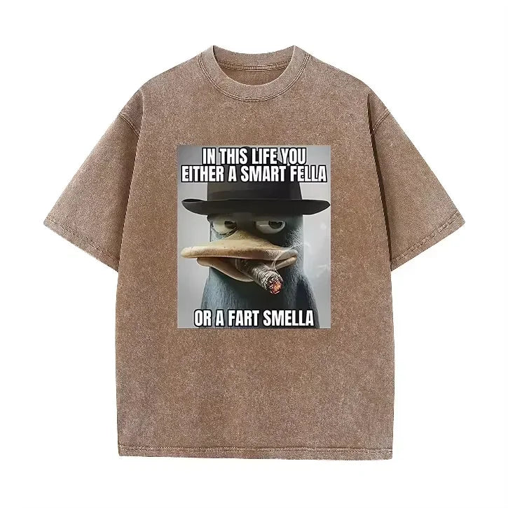 Retro Acid Wash Oversized T-shirt Funny Perry Platypus Meme Cartoon Print Casual Streetwear Tops