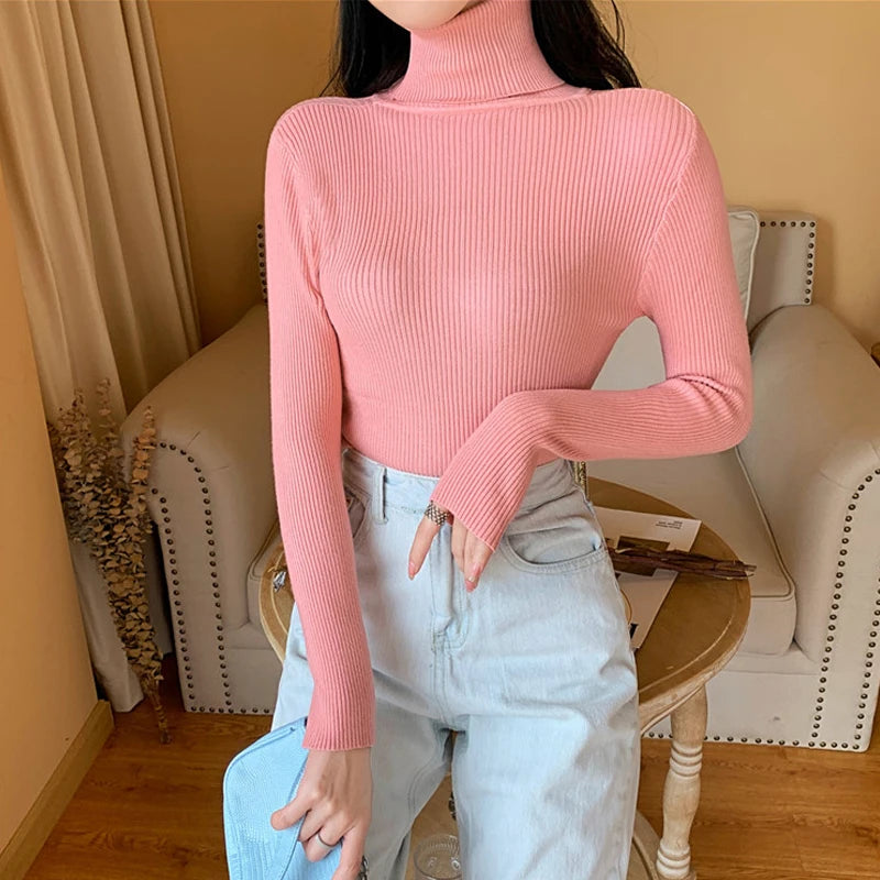 Women's Fitted Ribbed Roll Neck Sweater Casual Knit Layer