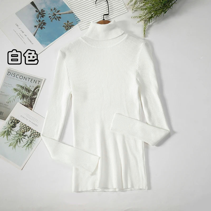 Women's Ribbed Roll Neck Long Sleeve Sweater Casual Knit Layer