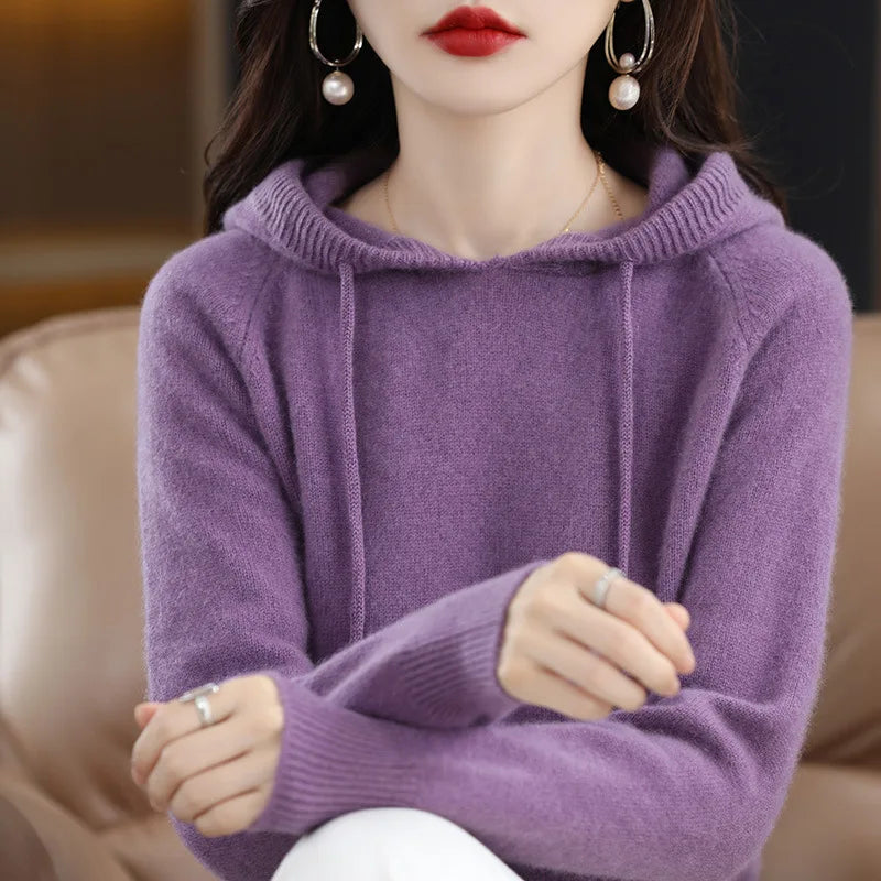 Hooded Long Sleeve Fine Knit Casual Pullover Sweater