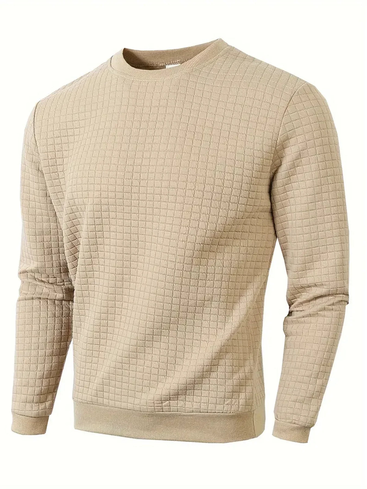 Men's Textured Crew Neck Long Sleeve Knit Sweater