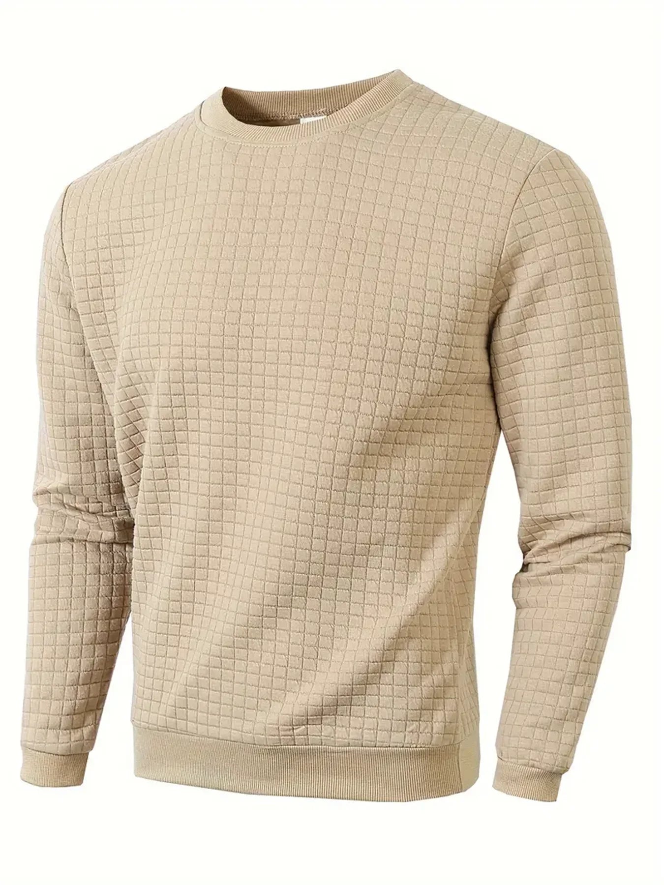 Men's Textured Crew Neck Long Sleeve Knit Sweater