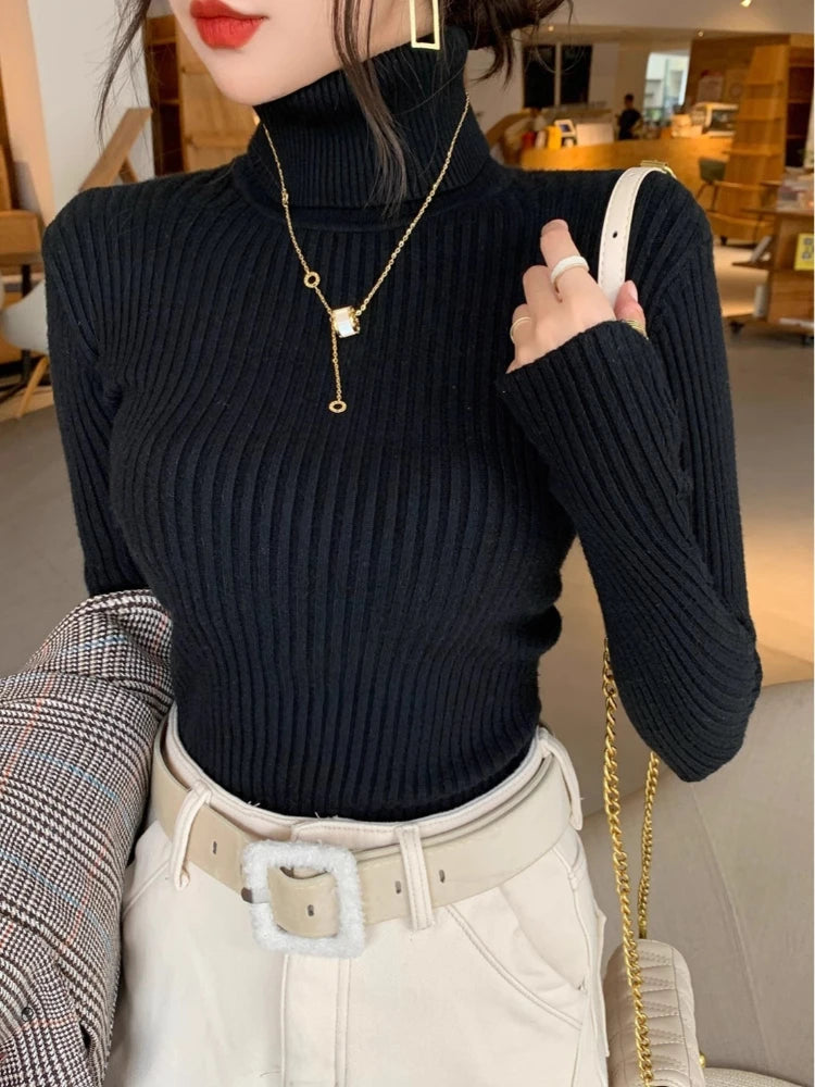 Women's Fitted Ribbed Roll Neck Sweater Casual Knit Layer