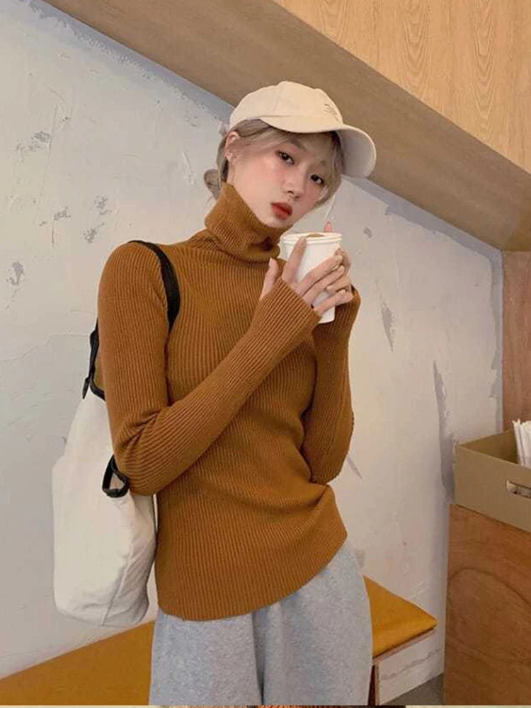 Women's Ribbed Roll Neck Long Sleeve Sweater Casual Knit Layer