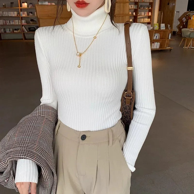 Women's Fitted Ribbed Roll Neck Sweater Casual Knit Layer