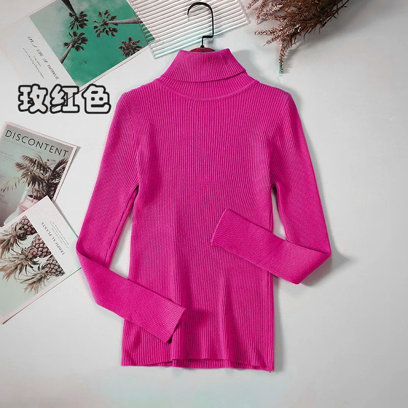 Women's Ribbed Roll Neck Long Sleeve Sweater Casual Knit Layer