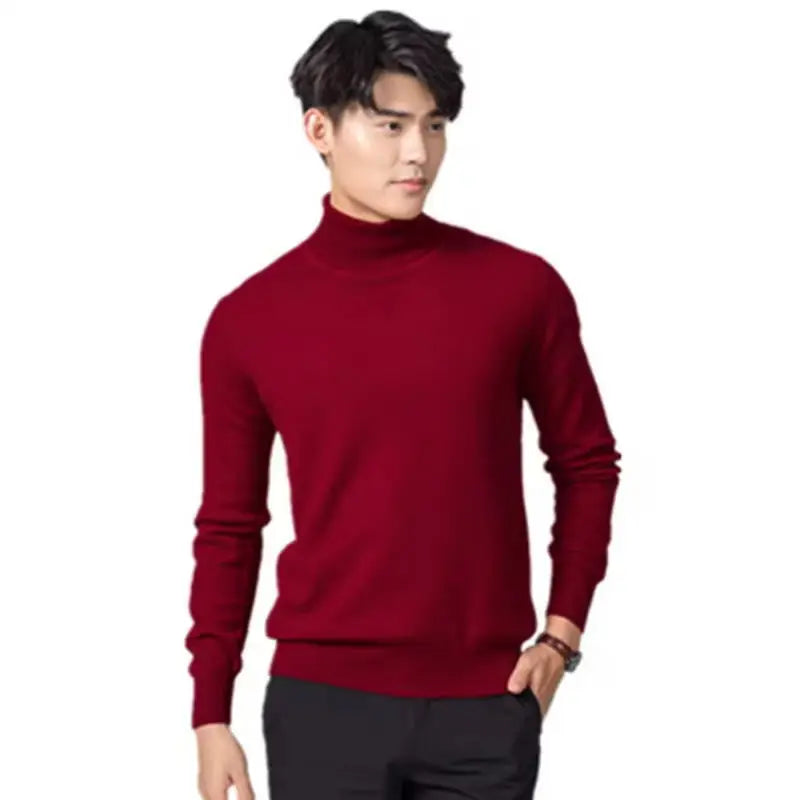 Men's Turtleneck Long Sleeve Knit Sweater