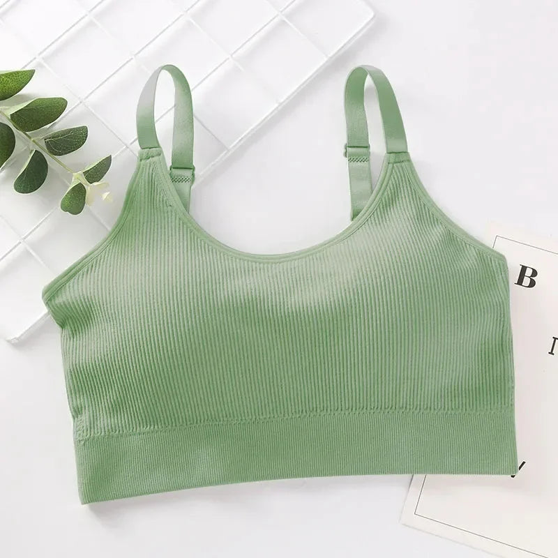 Women's Ribbed Scoop Neck Everyday Bra