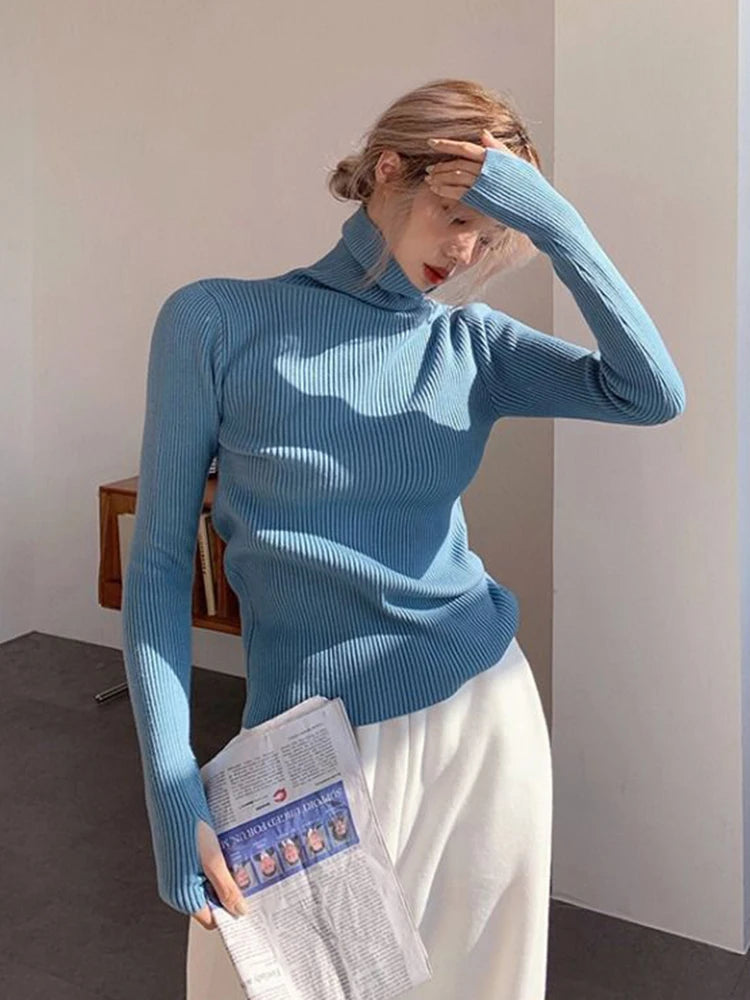 Women's Ribbed Roll Neck Long Sleeve Sweater Casual Knit Layer