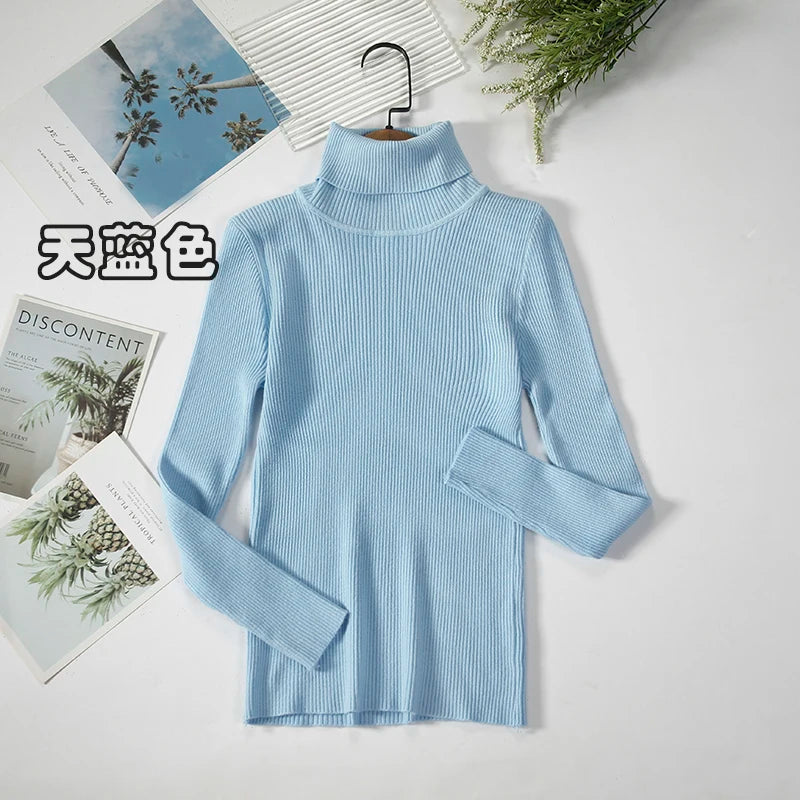 Women's Ribbed Roll Neck Long Sleeve Sweater Casual Knit Layer