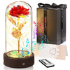 Music Rotated Beauty and The Beast Rose Glass Dome Valentine's Day Gift Room Decoration Forever Rose with LED Lights Rose Flower
