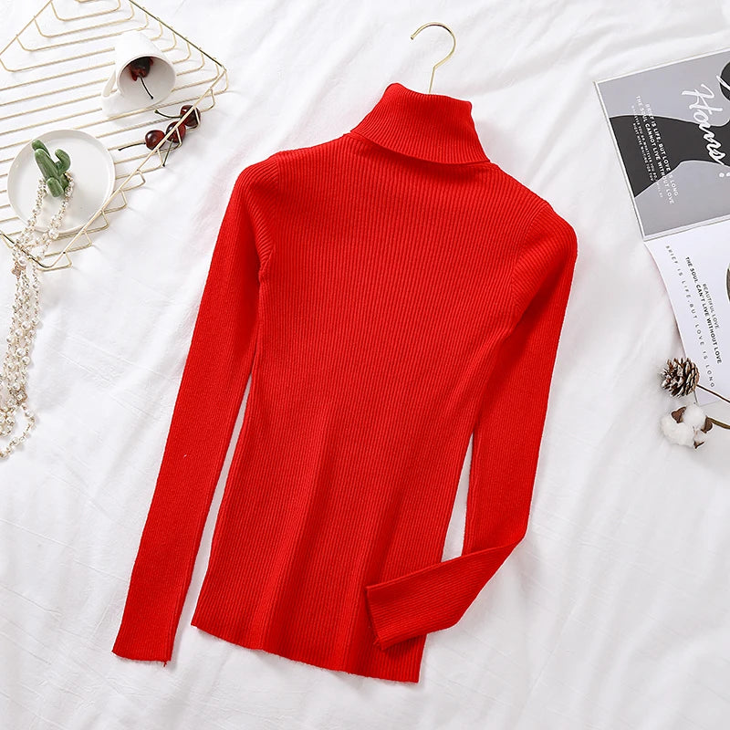 Women's Fitted Ribbed Roll Neck Sweater Casual Knit Layer
