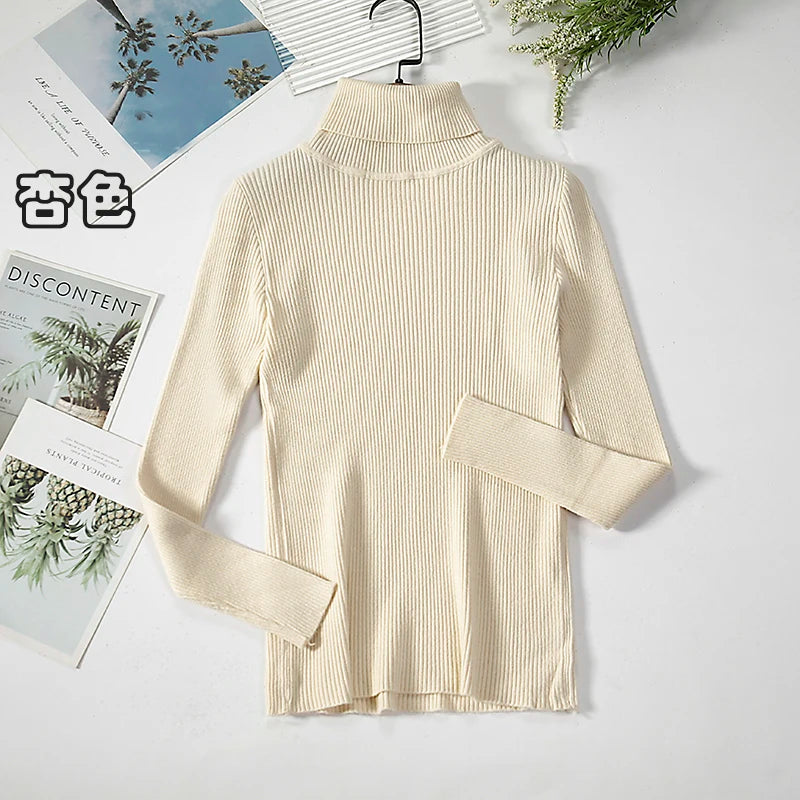 Women's Ribbed Roll Neck Long Sleeve Sweater Casual Knit Layer
