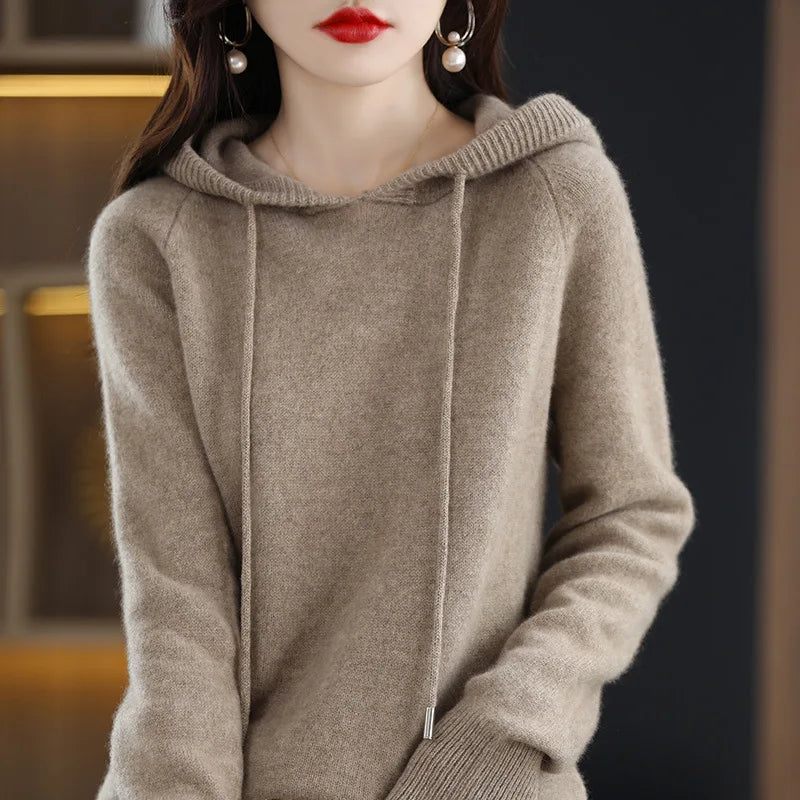 Hooded Long Sleeve Fine Knit Casual Pullover Sweater