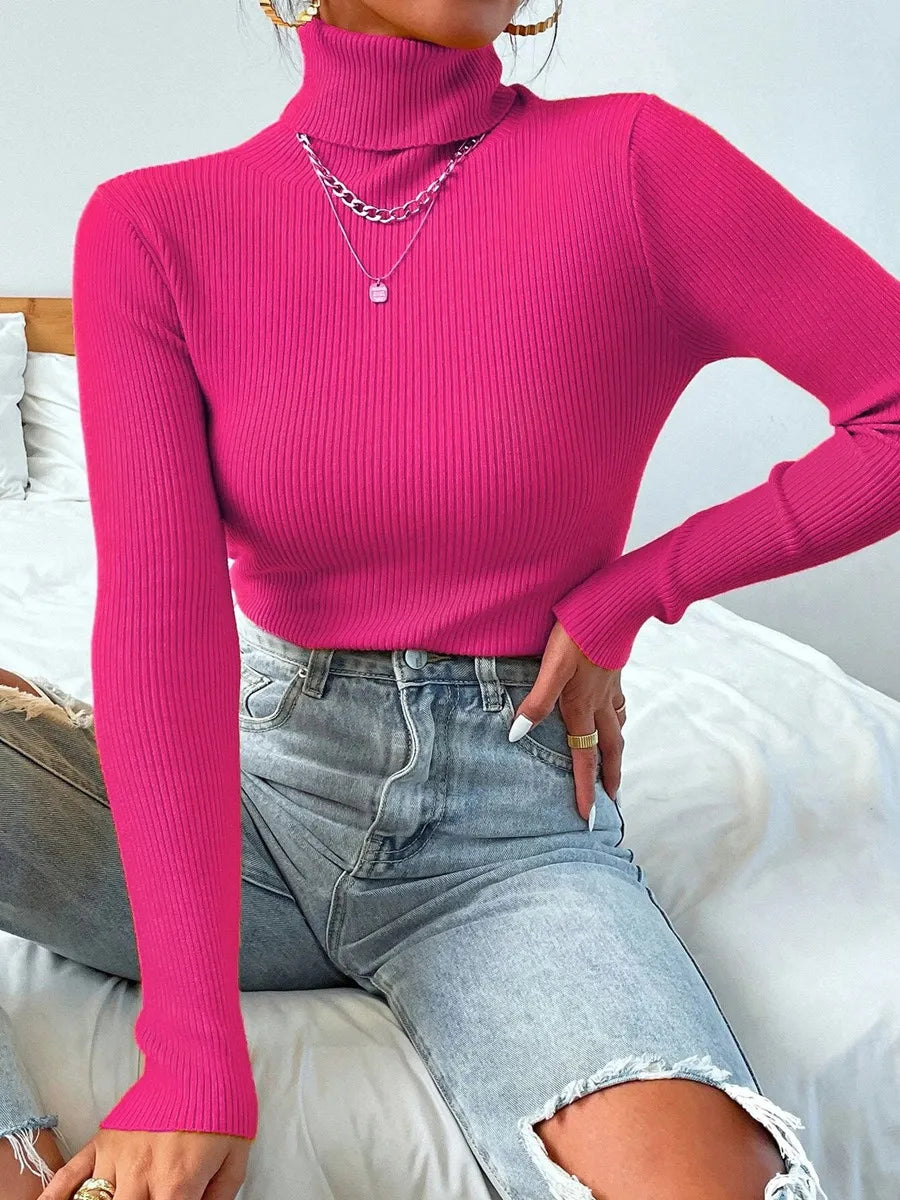 Women's Fitted Ribbed Roll Neck Sweater Casual Knit Layer