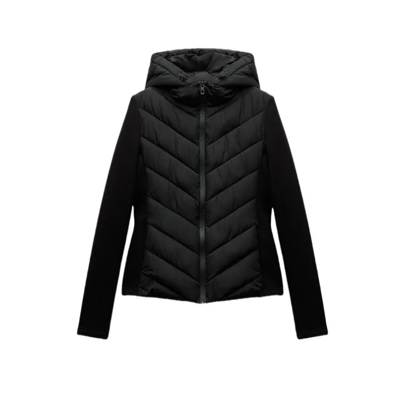 Women's Hooded High-Collar Zip-Front Jacket
