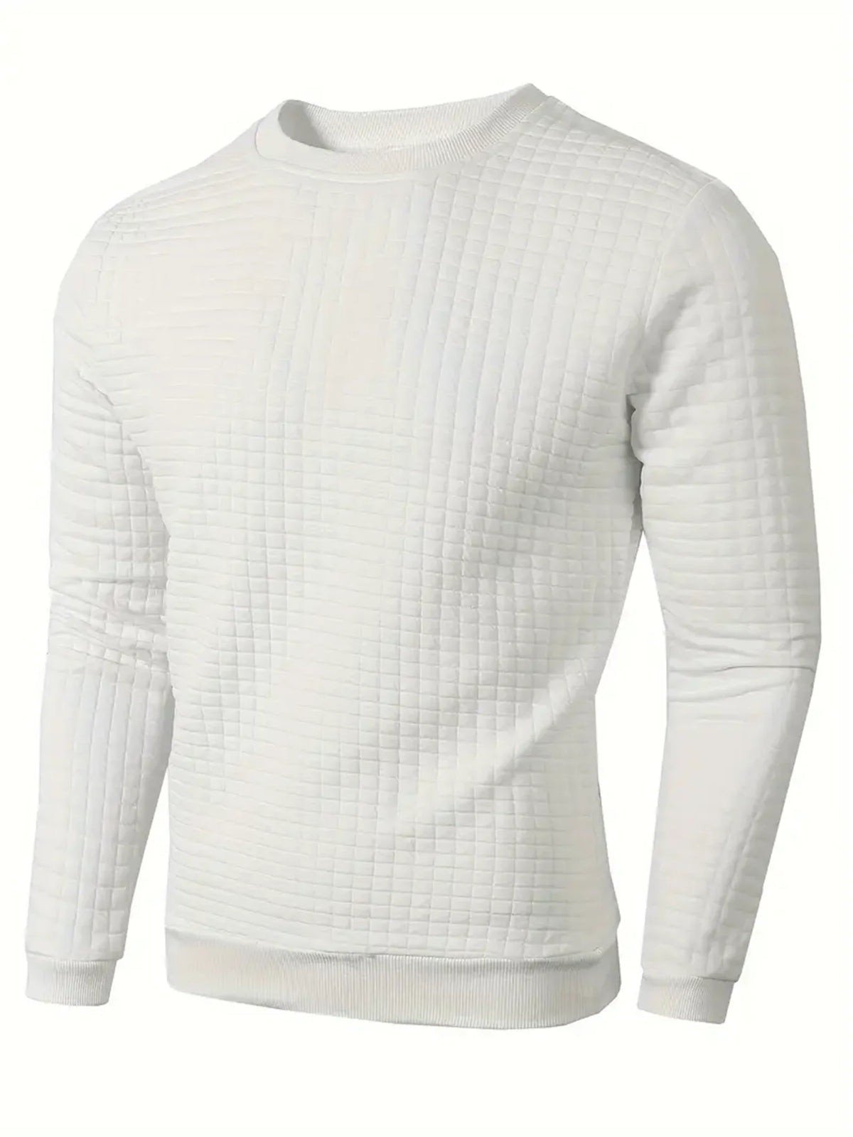 Men's Textured Crew Neck Long Sleeve Knit Sweater