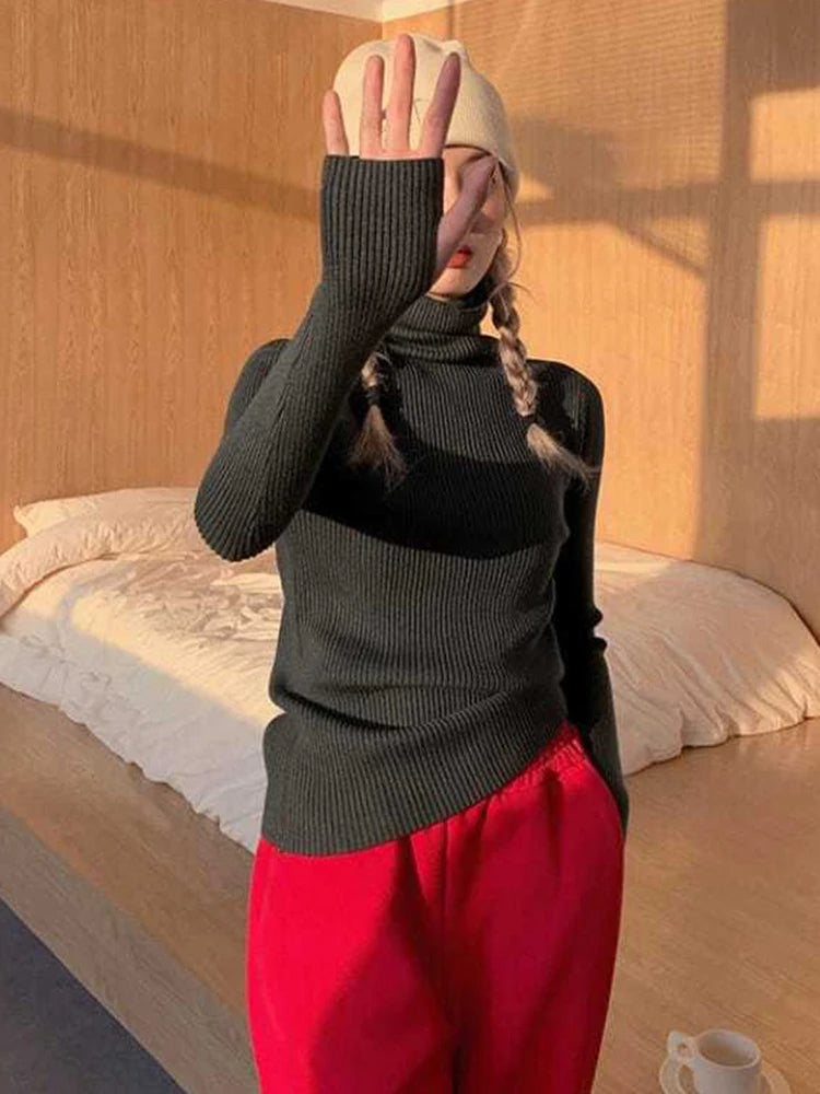 Women's Ribbed Roll Neck Long Sleeve Sweater Casual Knit Layer