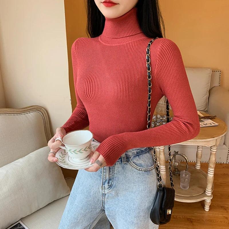 Women's Fitted Ribbed Roll Neck Sweater Casual Knit Layer