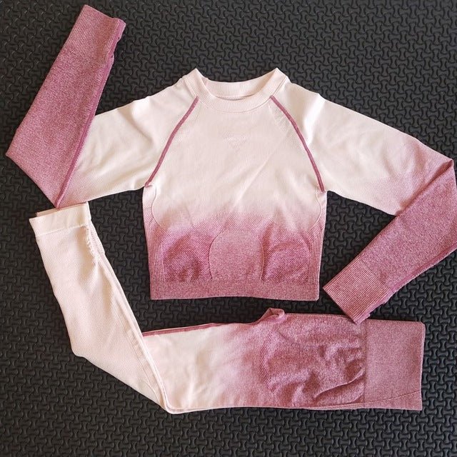 2 piece gym set women ombre seamless workout set yoga - Vimost Shop