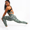 2 Piece Sexy Snake Print Yoga Set Women Workout Gym Bras Sport Fitness Leggings Ropa Deportivas Mujer Running Ladies Suit - Vimost Shop