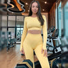 Autumn New Women Seamless Yoga Suit Two Piece Set Tracksuit Long Sleeve Shirts Top Fitness Leggings Pants Running Outfits - Vimost Shop