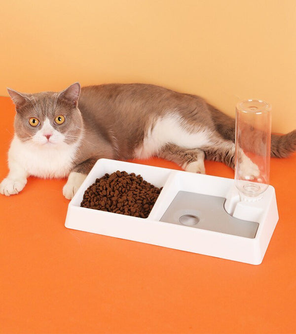 Cat Bowl Dog Water Feeder Bowl Cat Kitten Drinking Fountain Food Dish Pet Bowl Goods Automatic Water Feeder for Cat Dog - Vimost Shop