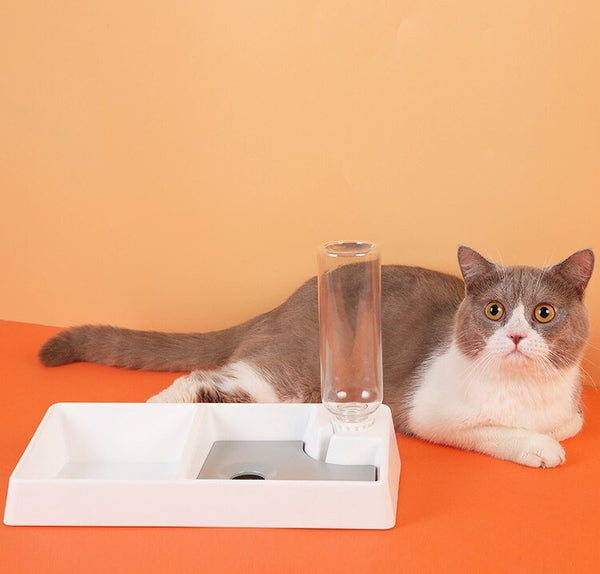 Cat Bowl Dog Water Feeder Bowl Cat Kitten Drinking Fountain Food Dish Pet Bowl Goods Automatic Water Feeder for Cat Dog - Vimost Shop