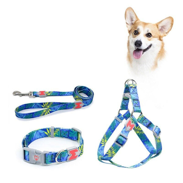 Cat Dog Collar Harness Leash Adjustable Nylon Pet Traction Cat Dog Collar Adjustable Quick Release Pet Harness Belt - Vimost Shop