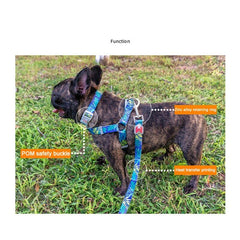 Cat Dog Collar Harness Leash Adjustable Nylon Pet Traction Cat Dog Collar Adjustable Quick Release Pet Harness Belt - Vimost Shop