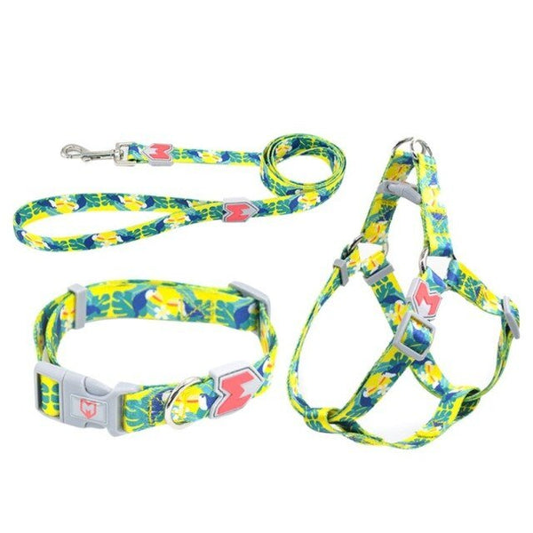 Cat Dog Collar Harness Leash Adjustable Nylon Pet Traction Cat Dog Collar Adjustable Quick Release Pet Harness Belt - Vimost Shop