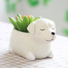 Creative Flower Pot Cartoon Dog Planter Puppy Resin Planters Pots For Flowers Flower Desktop Macetas Home Garden - Vimost Shop