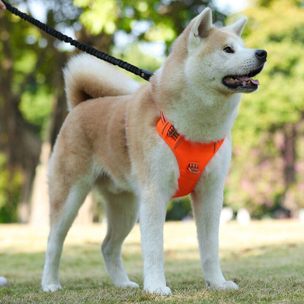 Dog Soft Adjustable Harness Pet Large Dog Walk Out Harness Vest Collar Hand Strap for Small Medium Large Dogs - Vimost Shop