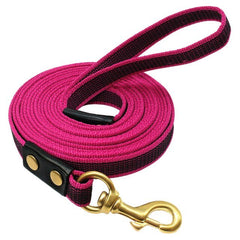 Dog Tracking Leash for Large Dogs Nylon Dog Leash Pet Walking Leads Training Pet Training Recall Rope Non-Slip 2m 3m 5m - Vimost Shop