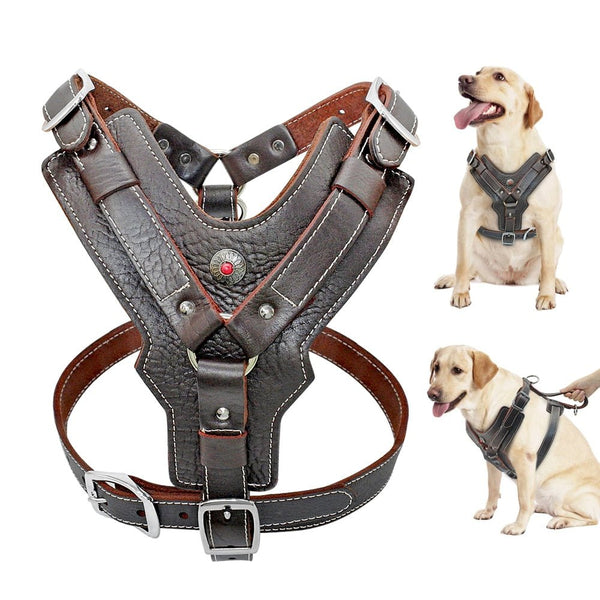 Durable Dog Harness Large Dogs Genuine Leather Harnesses Pet Training Vest With Quick Control Handle For Labrador Pitbull - Vimost Shop
