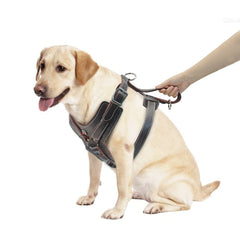 Durable Dog Harness Large Dogs Genuine Leather Harnesses Pet Training Vest With Quick Control Handle For Labrador Pitbull - Vimost Shop