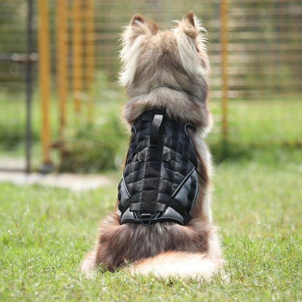 Durable Dog Harness Tactical Military Dog Vest No Pull Pet Training Harnesses Vest for Medium Large Dogs M L XL - Vimost Shop