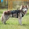 Durable Dog Harness Tactical Military Dog Vest No Pull Pet Training Harnesses Vest for Medium Large Dogs M L XL - Vimost Shop
