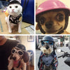 Handsome Biker Hat Pets Helmets Ridding Cap Safe Hats ABS Doggie Puppy Motorcycle Protect For Sports Dog Cat Pets | Vimost Shop.