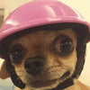 Handsome Biker Hat Pets Helmets Ridding Cap Safe Hats ABS Doggie Puppy Motorcycle Protect For Sports Dog Cat Pets | Vimost Shop.