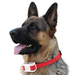 Waterproof Safe & Automatic Anti Bark Device USB Powered Spray & Sound Bark Collar | Vimost Shop.