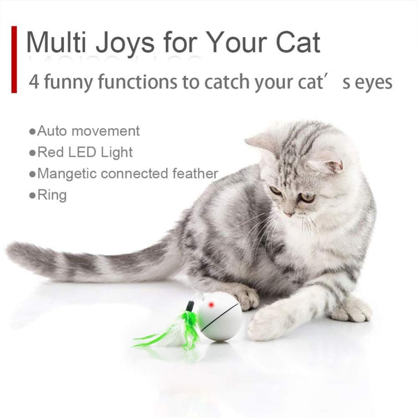 Explosive Cat Jumping Ball Electric Pet LED 360 Rotation Flash Ball Funny Toy Home Pet Dog Cat Interactive Laser Ball Light Toys | Vimost Shop.