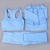 Fitness clothes women gym sets 2 piece vital seamless yoga set | Vimost Shop.