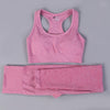 Fitness clothes women gym sets 2 piece vital seamless yoga set | Vimost Shop.