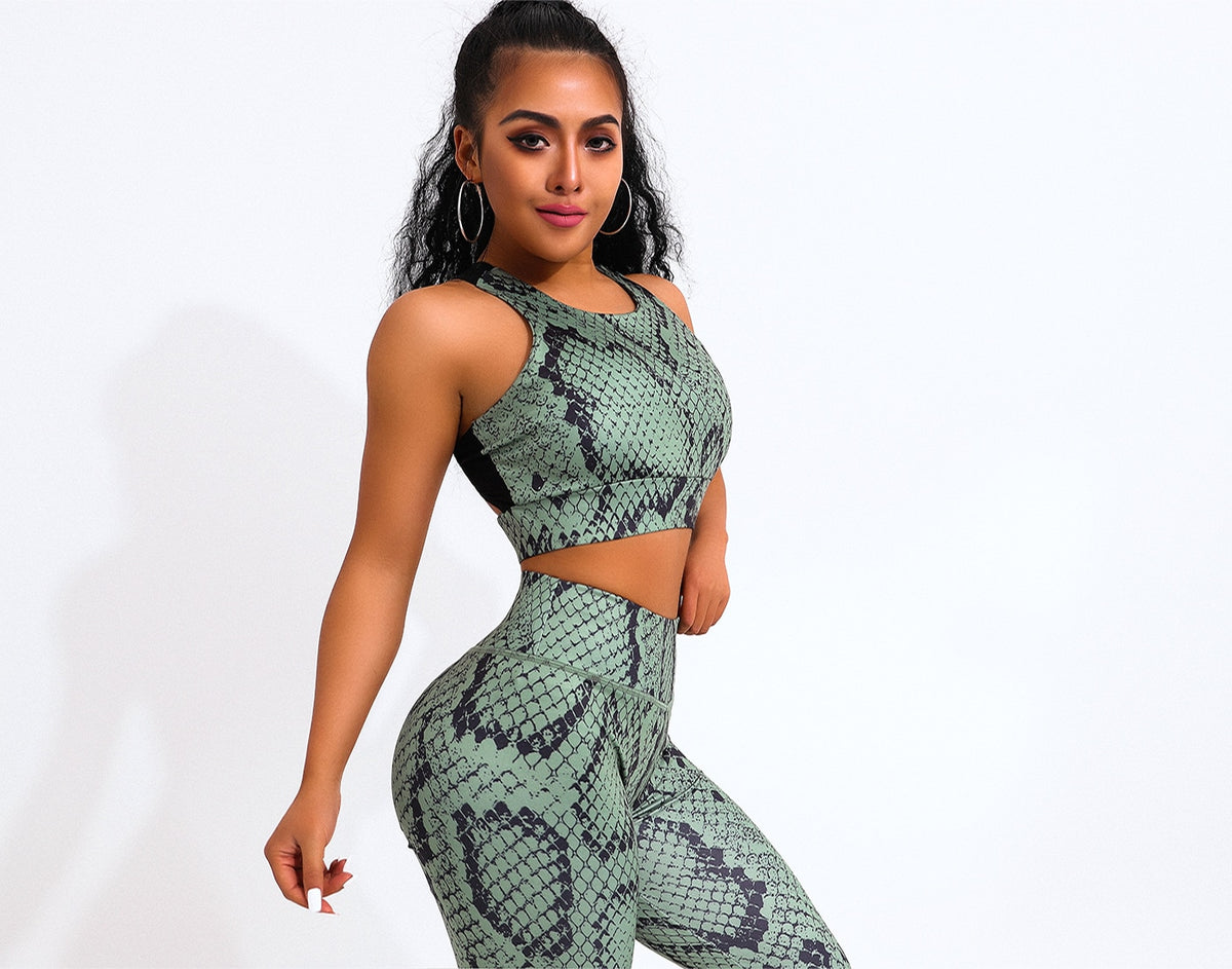 2 Piece Sexy Snake Print Yoga Set Women Workout Gym Bras Sport Fitness Leggings Ropa Deportivas Mujer Running Ladies Suit | Vimost Shop.