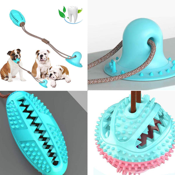Pet Dog Toys Silicon Suction Cup Tug dog toy Dogs Push Ball Toy Pet Tooth Cleaning Dog Toothbrush for Puppy large Dog Biting Toy | Vimost Shop.