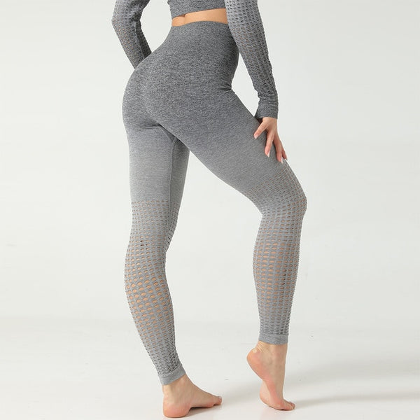 Ombre Seamless 2 PCS Set Women Sport Suit Gym Workout Long Sleeve Shirts Fitness Crop Top Scrunch Butt Leggings Hollow Yoga Set | Vimost Shop.