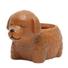 Succulent Plant Pot Cute Animal Flower Planter Flowerpot Create Design Lovely Little Animals Home Garden Bonsai Pots | Vimost Shop.