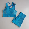2pcs Seamless Yoga Sets Women Sport Wear | Vimost Shop.