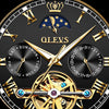 Watch Automatic mechanical watch  Stianless Top Brand Dress Luxury moon phaseTourbillon Wristwatch Gifts for Male | Vimost Shop.